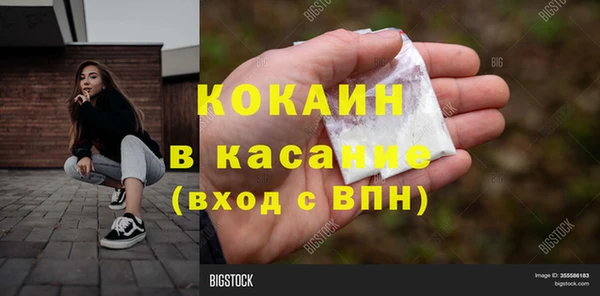 гашик Алексин