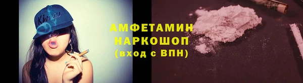гашик Алексин