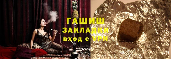 гашик Алексин