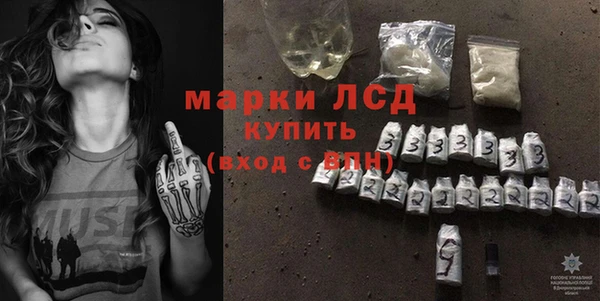 гашик Алексин