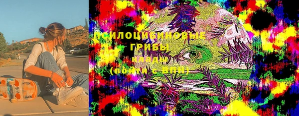 мдпв Алзамай