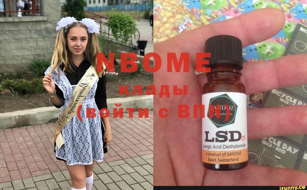 гашик Алексин