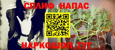 молекула духа Дубна