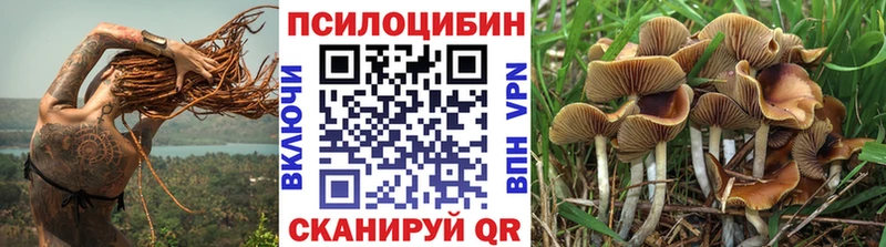 Псилоцибиновые грибы Psilocybine cubensis купить наркотики сайты Югорск